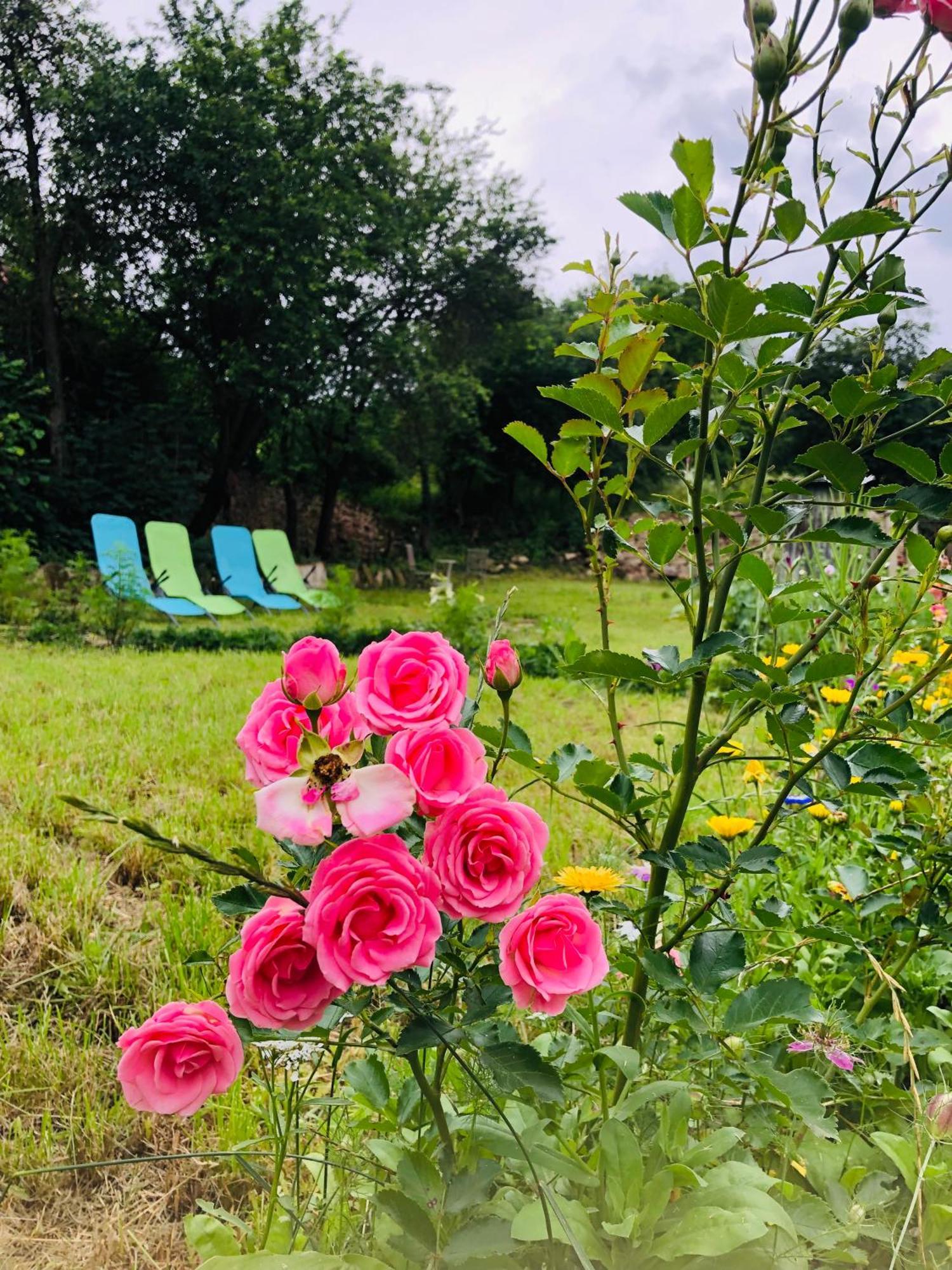 Saschiz 175 Guesthouse ภายนอก รูปภาพ