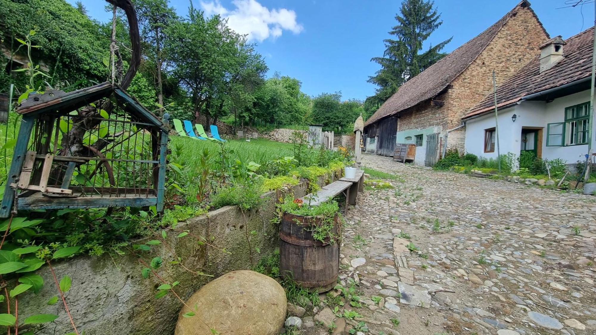Saschiz 175 Guesthouse ภายนอก รูปภาพ