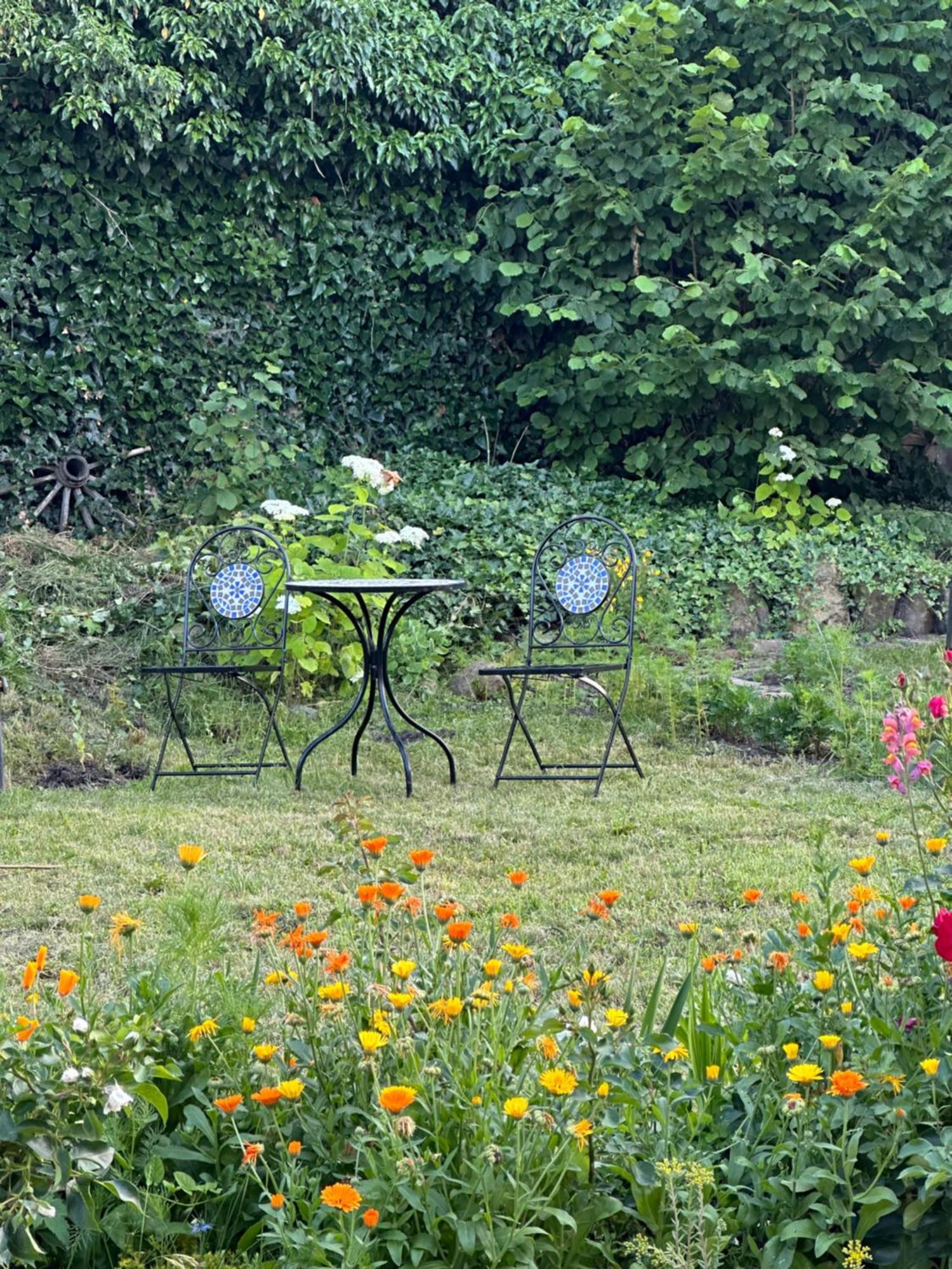 Saschiz 175 Guesthouse ภายนอก รูปภาพ